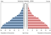 population pyramid
