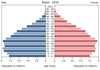 population pyramid
