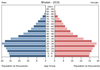 population pyramid