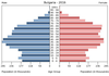 population pyramid