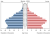 population pyramid