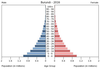 population pyramid