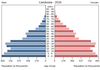 population pyramid