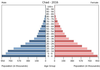 population pyramid