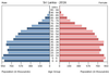population pyramid