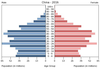 population pyramid