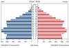 population pyramid