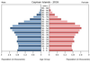 population pyramid