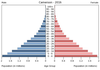 population pyramid