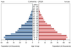 population pyramid