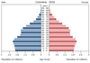 population pyramid