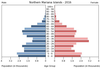 population pyramid