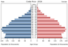 population pyramid