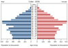 population pyramid