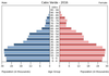 population pyramid