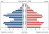 population pyramid