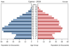 population pyramid