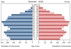population pyramid