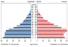 population pyramid