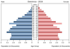 population pyramid