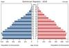 population pyramid