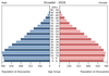 population pyramid