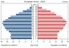 population pyramid