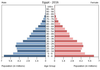 population pyramid