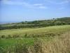 Some of the famed "forty shades of green" displayed in a pastoral Irish setting.