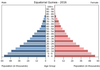 population pyramid