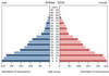population pyramid