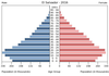 population pyramid