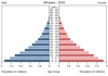 population pyramid