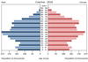 population pyramid
