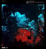 Ethereal swirls of grease ice appear turquoise against the midnight blue of the northern Baltic Sea in this false-color satellite image taken over the Aland Islands (red) between Finland and Sweden. The second stage of sea ice formation, grease ice consists of a viscous mix of tiny ice crystals and resembles an oil slick on the ocean&apos;s surface. Wind and currents constantly shape and reshape grease ice into surreal, ghostly patterns. Image courtesy of USGS.