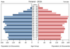 population pyramid