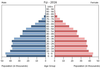 population pyramid