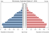 population pyramid