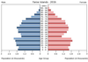 population pyramid