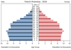 population pyramid