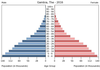 population pyramid
