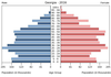 population pyramid