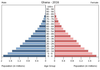 population pyramid