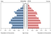 population pyramid