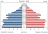 population pyramid