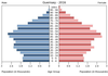 population pyramid