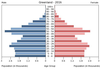 population pyramid