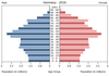 population pyramid