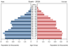 population pyramid