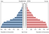 population pyramid
